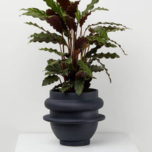 Load image into Gallery viewer, Bud Planter