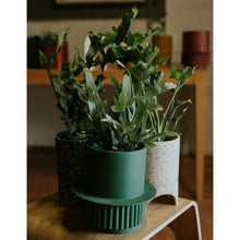 Load image into Gallery viewer, Roma Planter