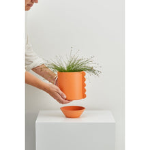 Load image into Gallery viewer, Frill Feature Planter