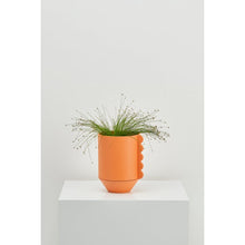 Load image into Gallery viewer, Frill Feature Planter