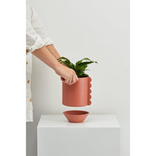 Load image into Gallery viewer, Frill Feature Planter