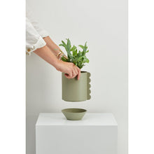 Load image into Gallery viewer, Frill Feature Planter
