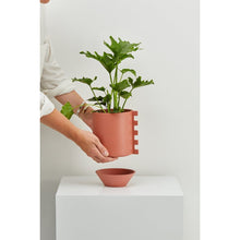 Load image into Gallery viewer, Zip Feature Planter