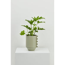 Load image into Gallery viewer, Zip Feature Planter