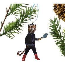 Load image into Gallery viewer, Cat with Fish Stick Ornament