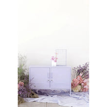 Load image into Gallery viewer, The Lowdown Locker