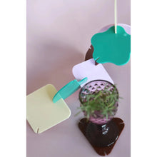 Load image into Gallery viewer, Figura(te) Coaster Sculpture