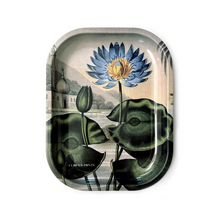 Load image into Gallery viewer, Small Metal Vintage Blue Lotus Tray