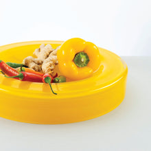 Load image into Gallery viewer, Wet Bowl - Big