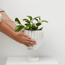 Load image into Gallery viewer, Solstice Planter