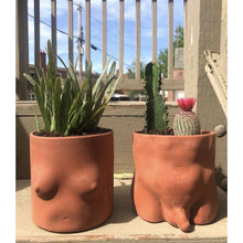 Load image into Gallery viewer, Terracotta Top Large