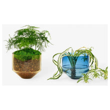 Load image into Gallery viewer, Model Three Planter