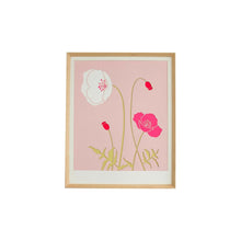Load image into Gallery viewer, PINK ICELAND POPPY
