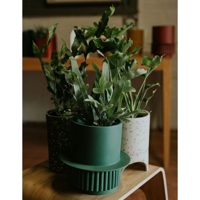 Roma Planter
