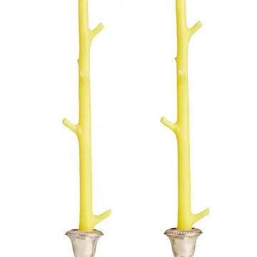Maple Stick Candles - Lemon Sorbet