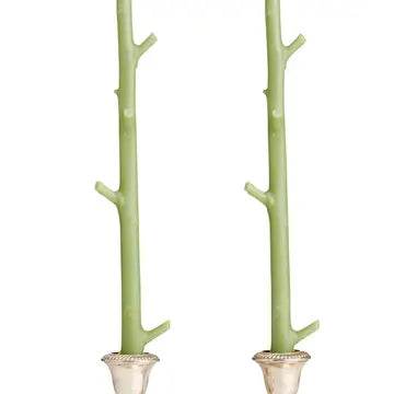 Maple Stick Candles - Sour Apple