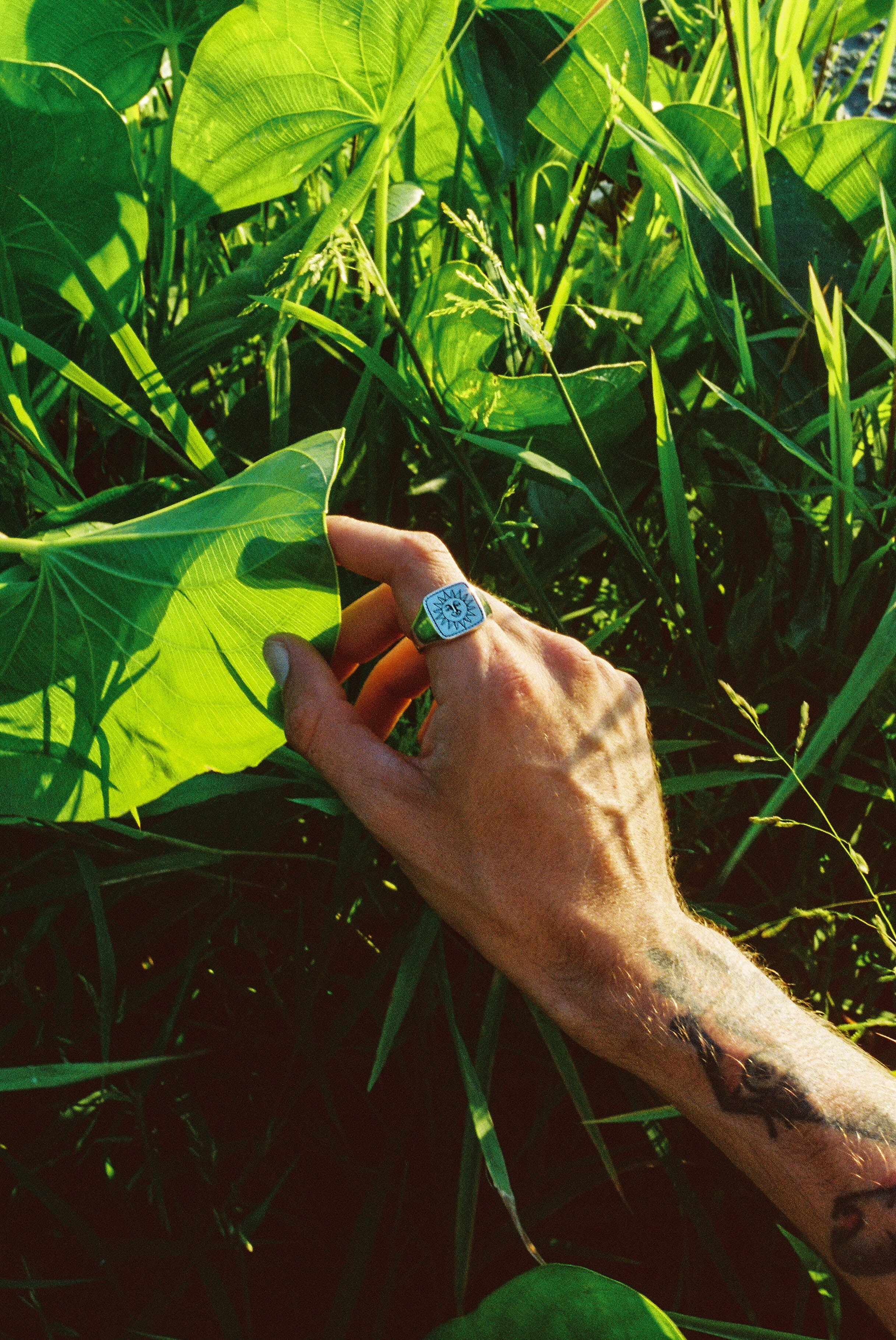 Sunshine Signet Ring