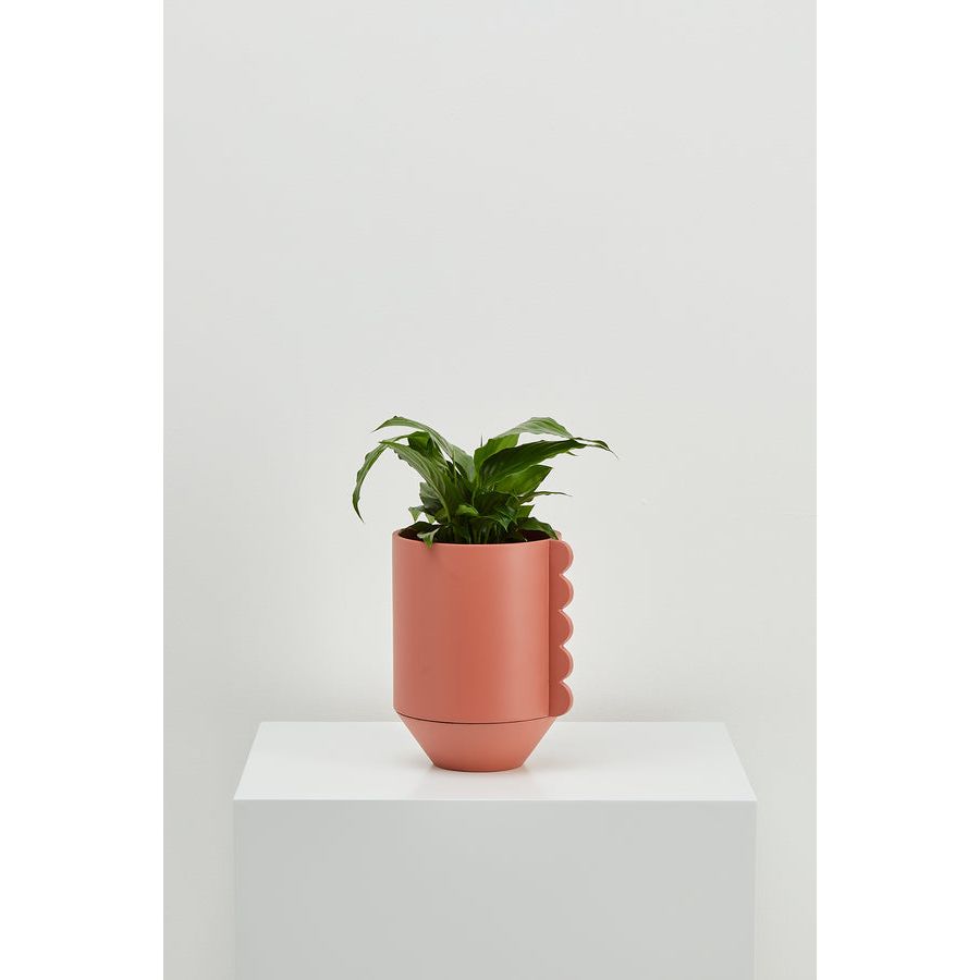 Frill Feature Planter - Thumbnail 3