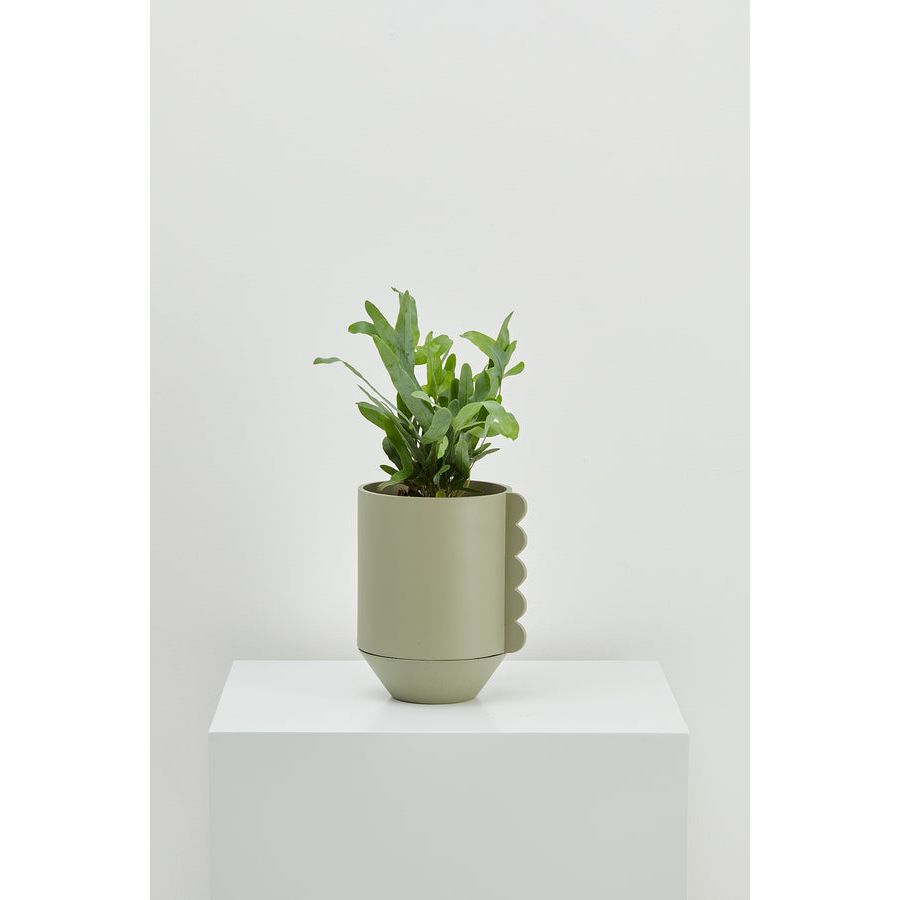Frill Feature Planter - Thumbnail 2