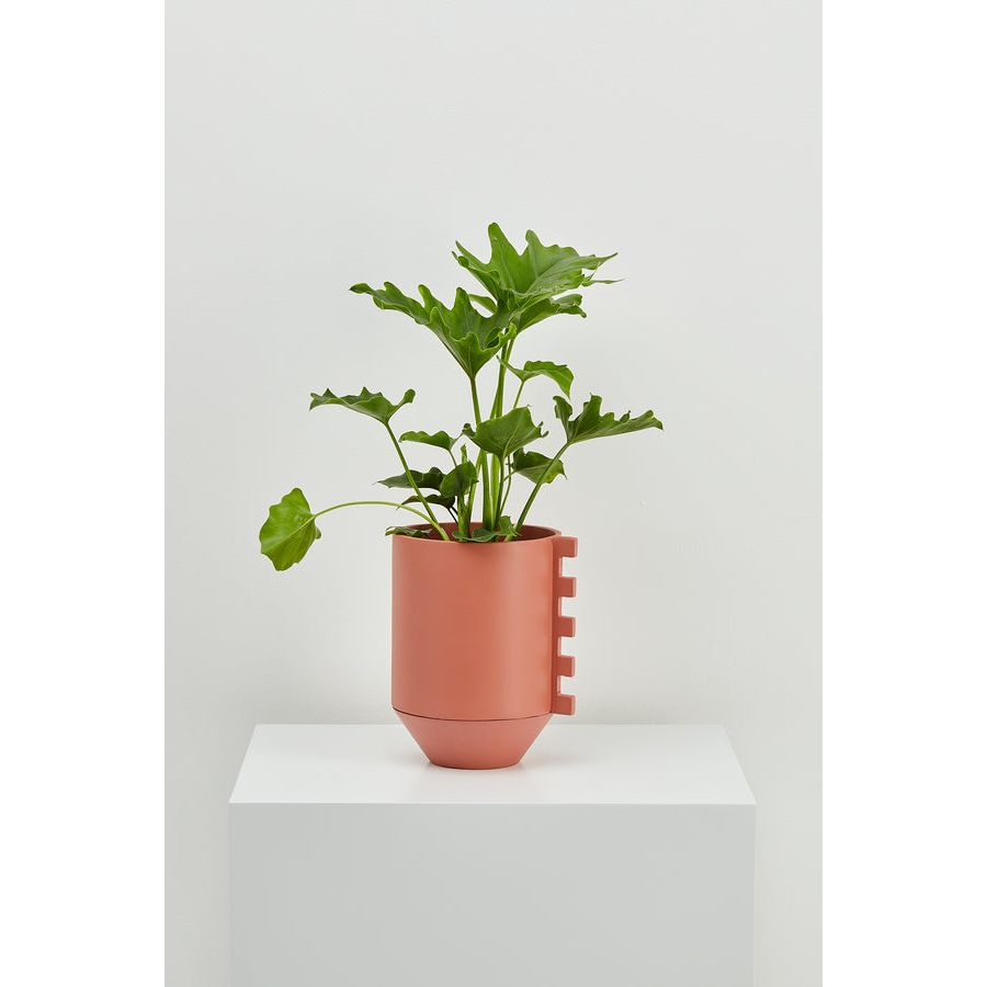 Zip Feature Planter