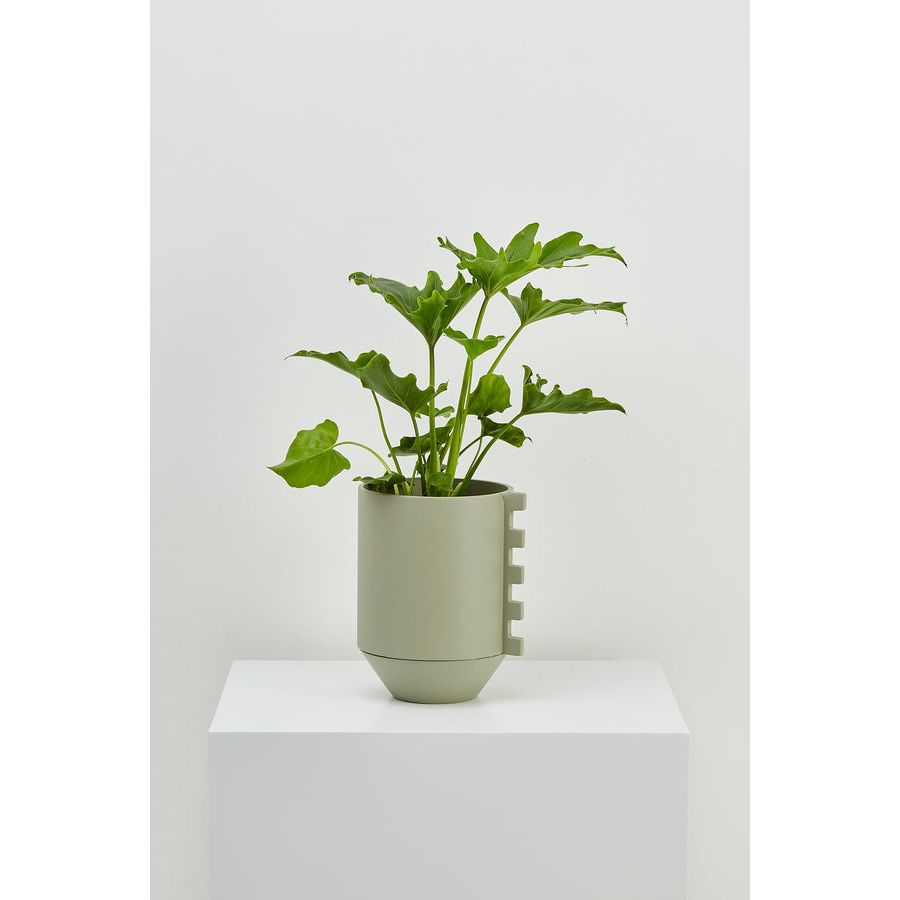 Zip Feature Planter