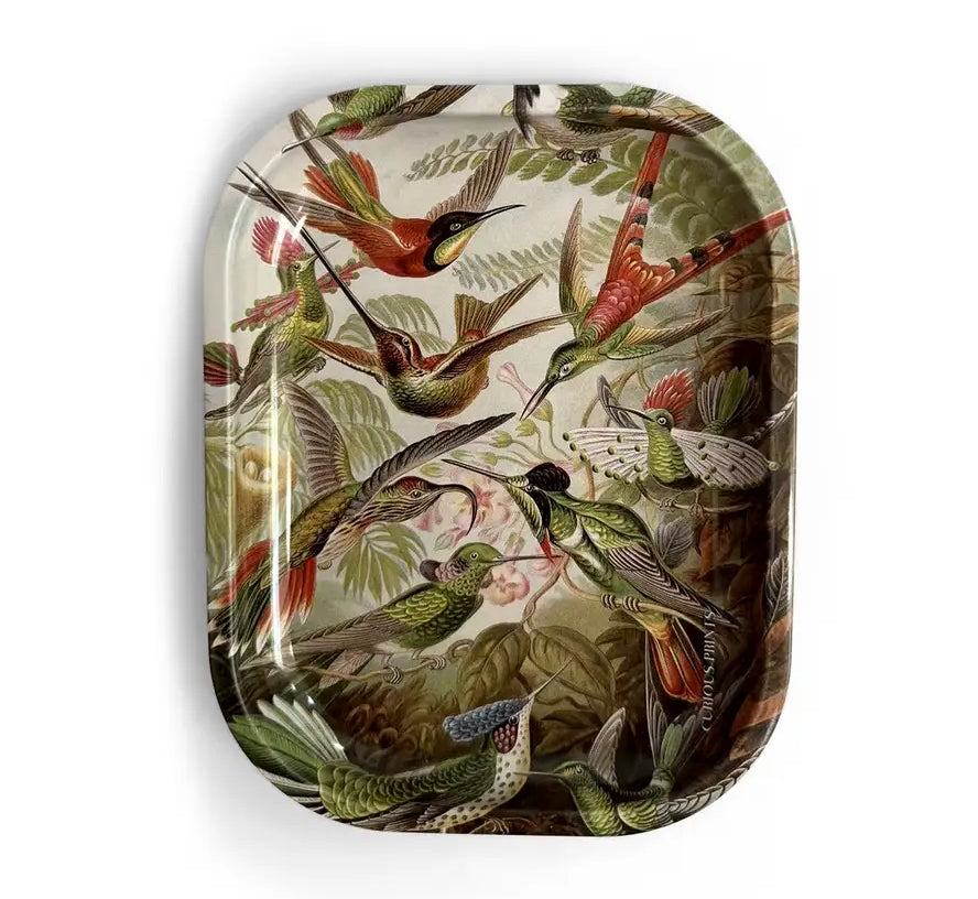 Small Metal Vintage Haeckel Hummingbirds Decorative Tray