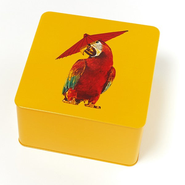 Arapluie Square Metal Tin Box