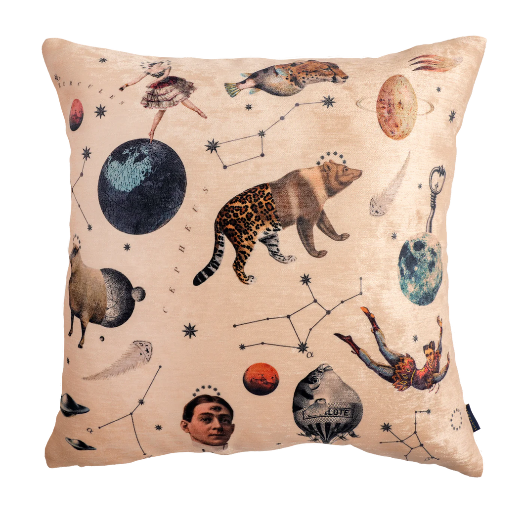 Kingdom Animal Velvet Pillow