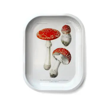 Small Metal Magic Mushroom Ritual Tray