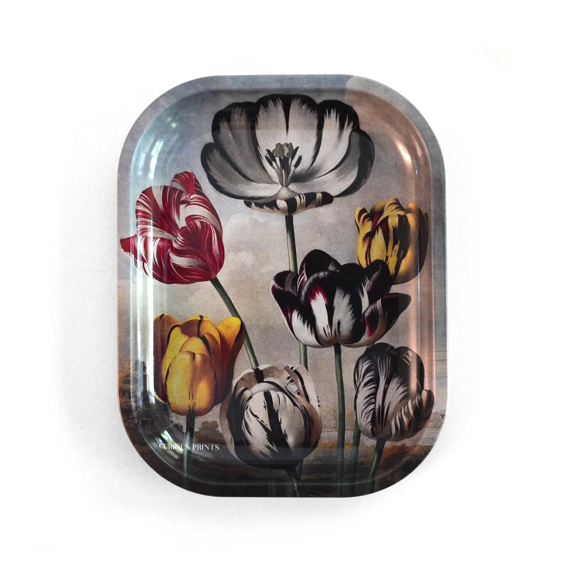 Small Metal Vintage Botanical Tulip Ritual Tray