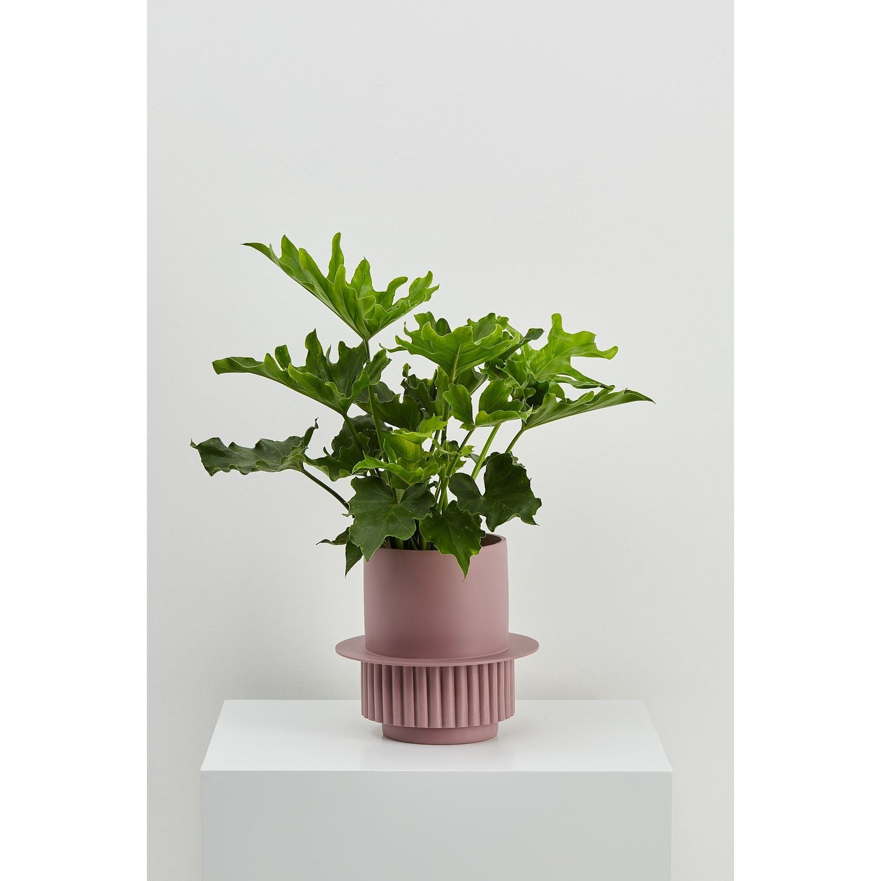 Roma Planter