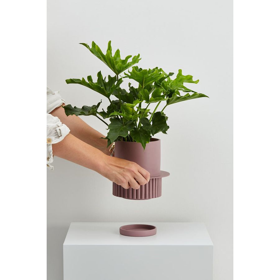 Roma Planter