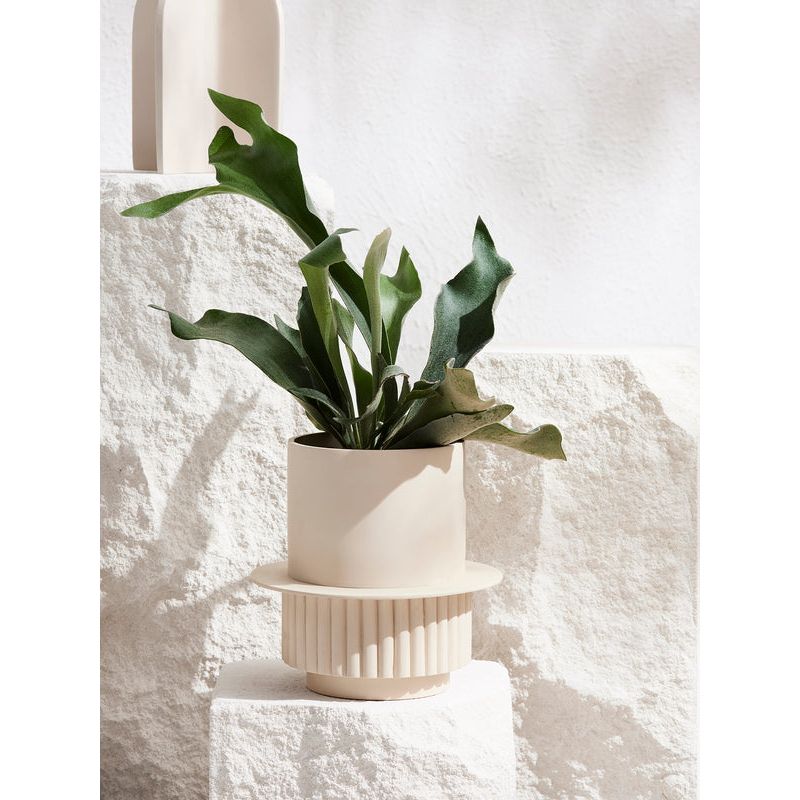 Roma Planter