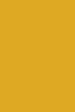 Load image into Gallery viewer, The Standard in Mustard
