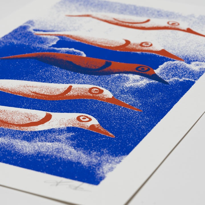 Pajaros- Art Printr by Franc Alcock