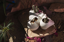 Load image into Gallery viewer, Botryoidal Planter
