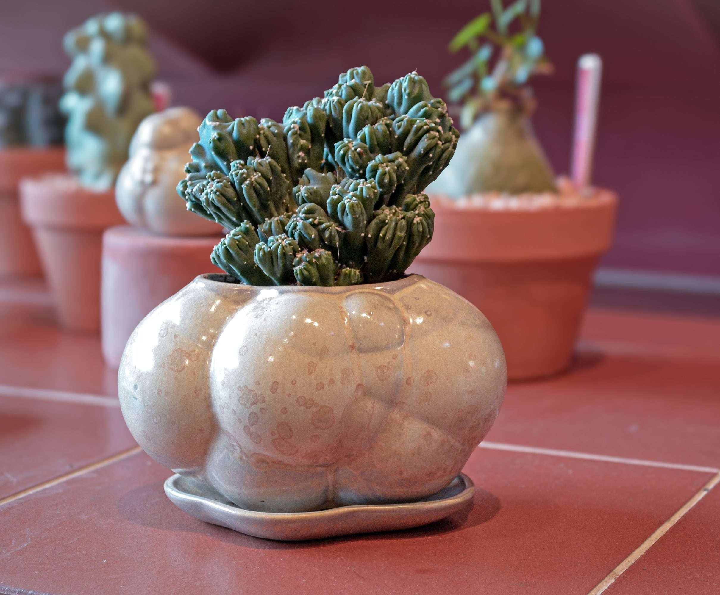 Mini Botryoidal Planter