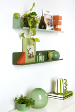 Load image into Gallery viewer, The Ledge in Olive - Large
