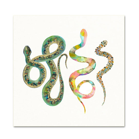 「SNAKE」アート作品　写真　木製パネル貼り　910㎜×910㎜×30㎜ Snakes #2 Art Print