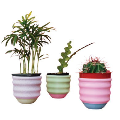 Small Wiggle Planters