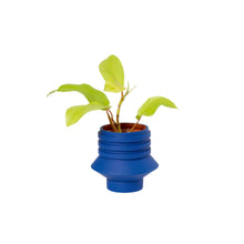 Load image into Gallery viewer, Strata Plant Vessel - Blue
