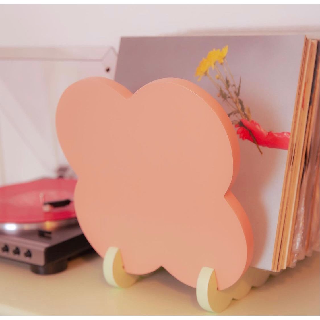 Panot Vinyl Records Holder