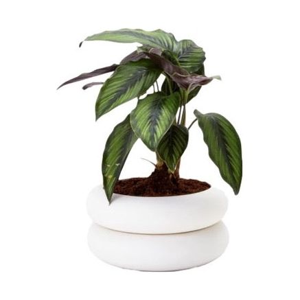 Stacking Planter Short