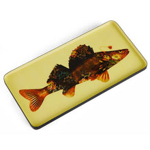 Load image into Gallery viewer, Flower Fish Rectangular Tray
