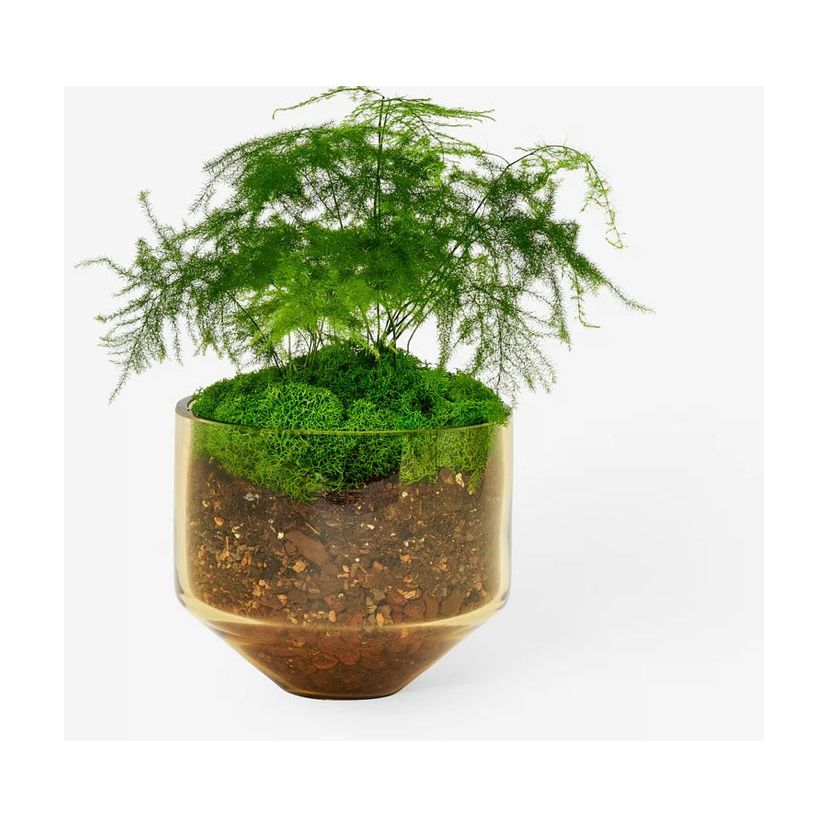 Model Three Planter - Thumbnail 4