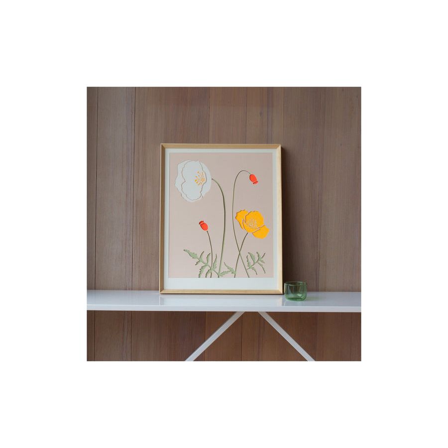 ORANGE ICELAND POPPY